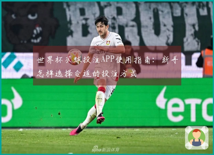 世界杯买球投注APP使用指南：新手怎样选择合适的投注方式