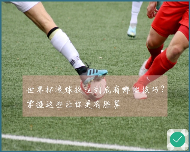 世界杯滚球投注到底有哪些技巧？掌握这些让你更有胜算
