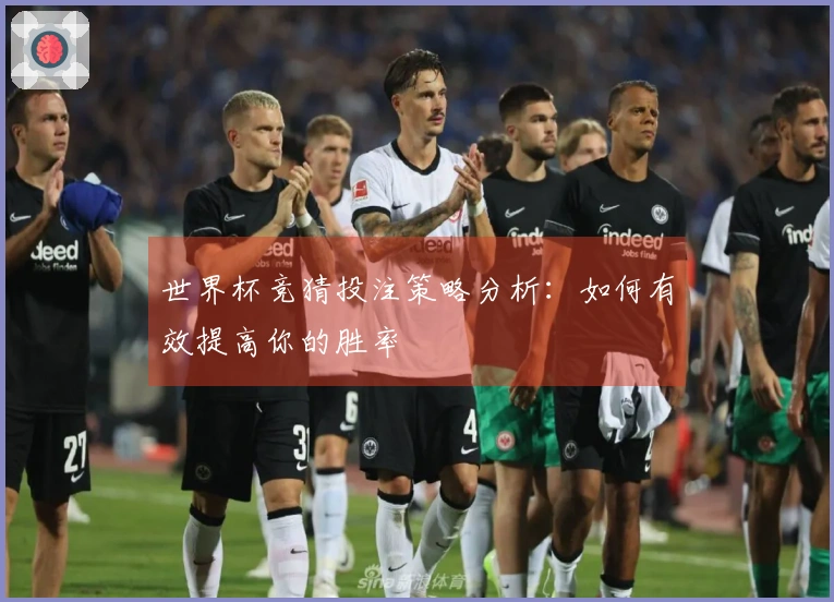 世界杯竞猜投注策略分析：如何有效提高你的胜率