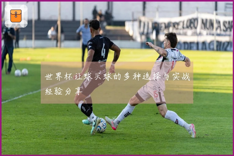 世界杯让球买球的多种选择与实战经验分享