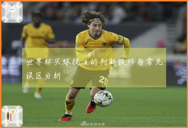 世界杯买球投注的判断技巧与常见误区分析