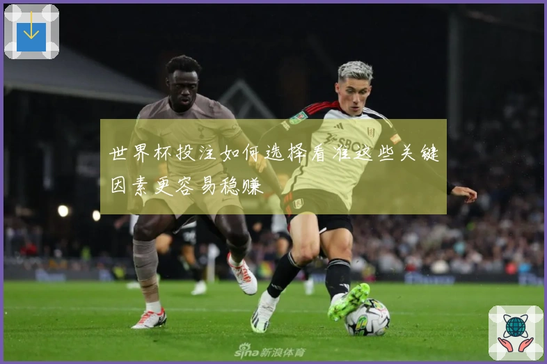 世界杯投注如何选择看准这些关键因素更容易稳赚