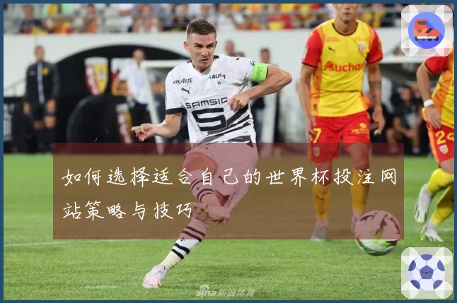 如何选择适合自己的世界杯投注网站策略与技巧
